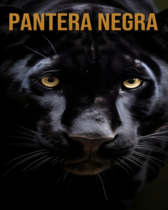 Kniha Pantera negra Dorian Skye