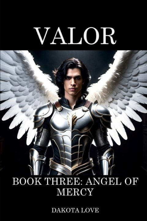 Kniha VALOR Book Three Dakota Love