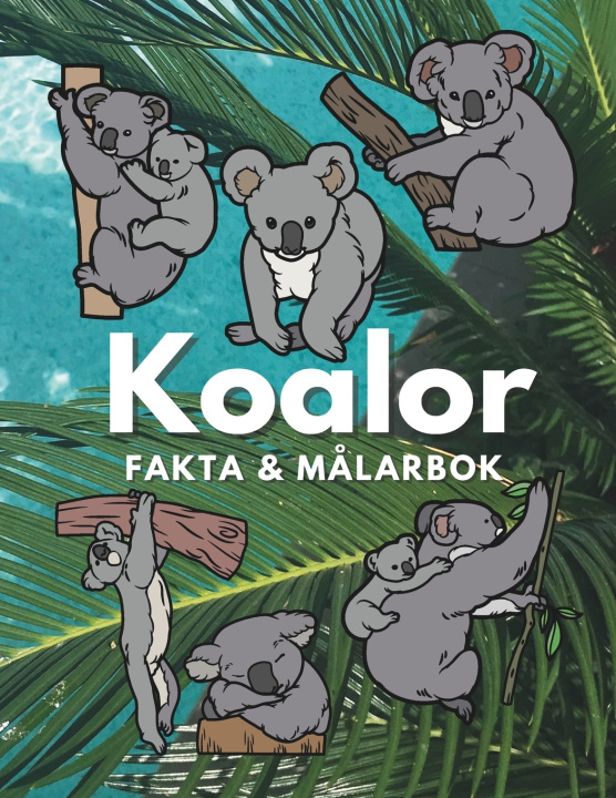 Kniha Koalor Steven Book