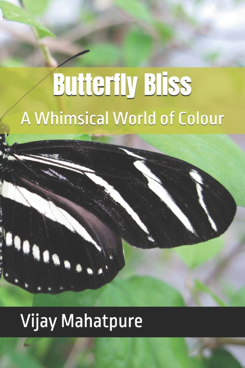 Kniha Butterfly Bliss Vijay Prabhakar Mahatpure