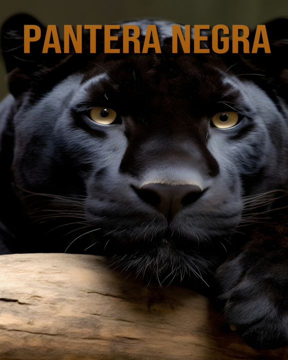 Könyv Pantera negra Vivienne Ash