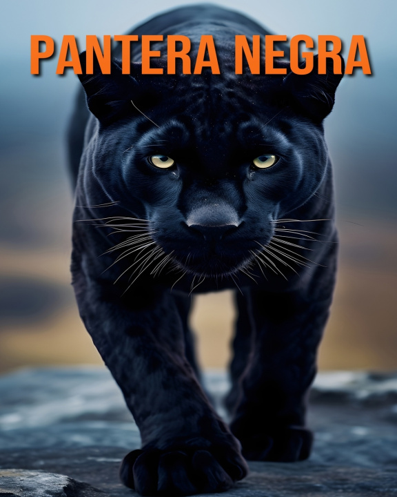 Book Pantera negra Stefan Ortega