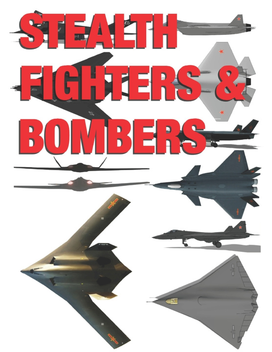 Buch Stealth Fighters & Bombers Luis Ayala