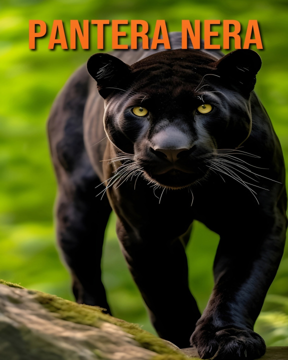 Kniha Pantera nera Raine Hawthorn