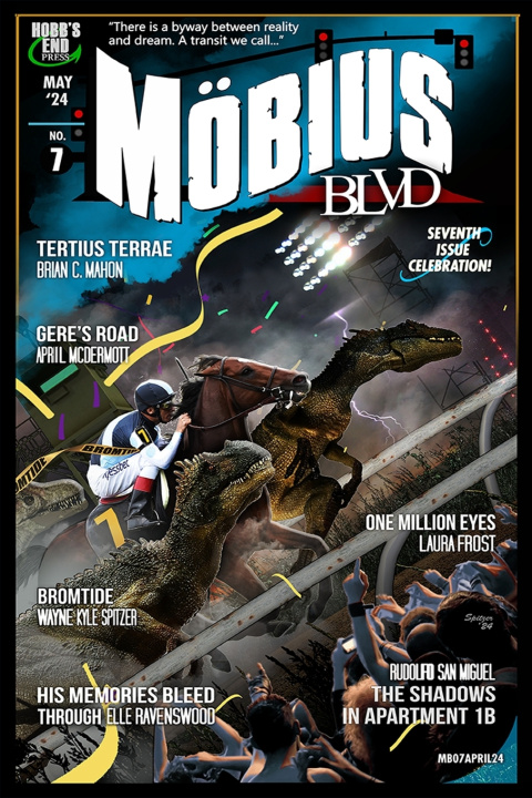 Book Mobius Blvd Rudolfo San Miguel
