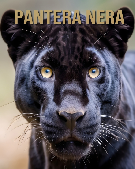 Könyv Pantera nera Isla Vane