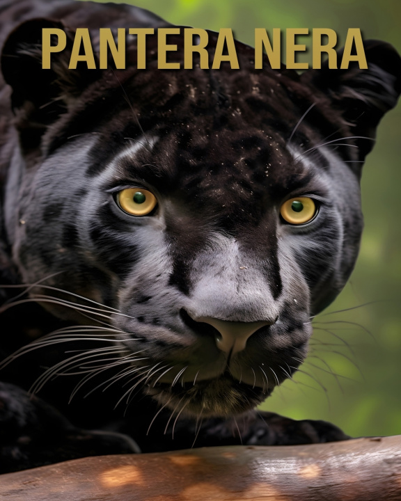Kniha Pantera nera Sofia Cortez