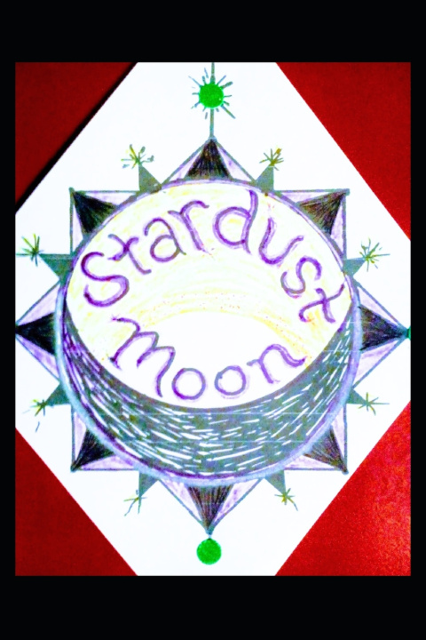 Knjiga Stardust Moon Jessica June