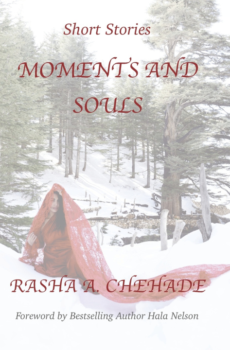 Kniha Moments and Souls Rasha A. Chehade