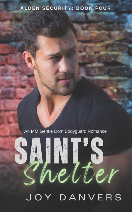 Kniha Saint's Shelter Joy Danvers