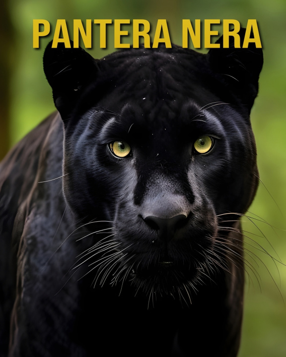 Könyv Pantera nera Nico Ember