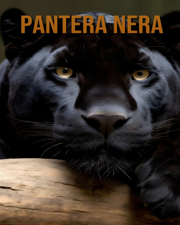 Kniha Pantera nera Vivienne Ash