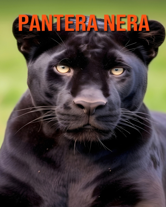Kniha Pantera nera Alessandro Volkmann