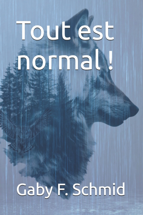 Kniha Tout est normal ! F Schmid
