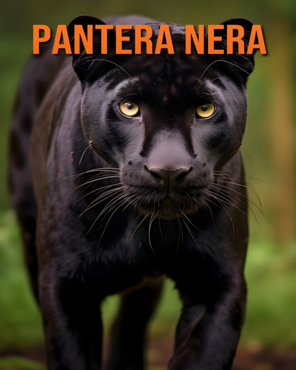 Kniha Pantera nera Luca Diaz