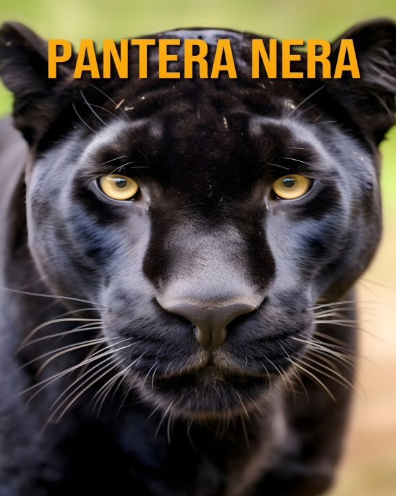 Kniha Pantera nera Antonio Richter