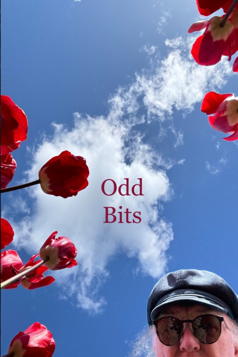 Kniha Odd Bits Kevin Ahern