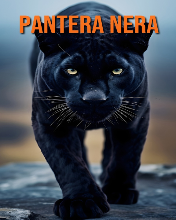 Kniha Pantera nera Stefan Ortega
