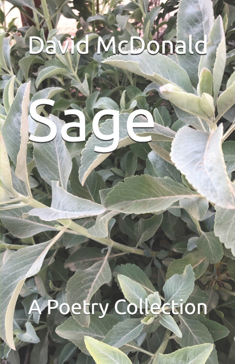 Kniha Sage David Craig McDonald