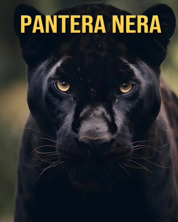 Könyv Pantera nera Debbie Ziegler