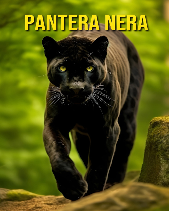 Kniha Pantera nera Susan Pharo
