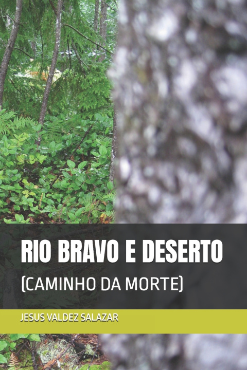 Kniha RIO BRAVO E DESERTO JESUS VALDEZ SALAZAR