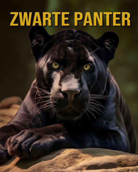 Kniha Zwarte Panter Celeste Raven