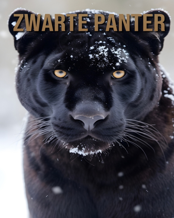 Kniha Zwarte Panter Leo Quill