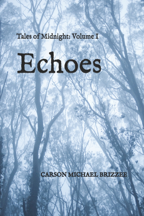 Könyv Echoes Carson Michael Brizzee