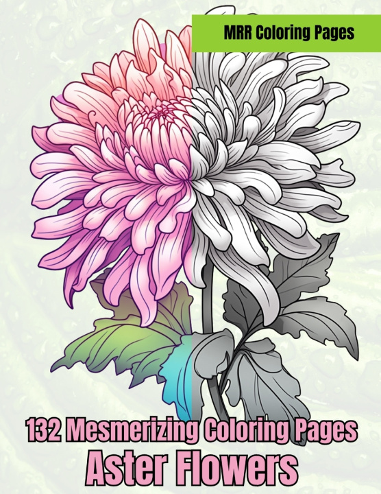 Kniha Aster Flowers Anna Mae Ison Flores