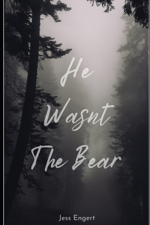 Kniha He Wasn't the Bear Jess Engert
