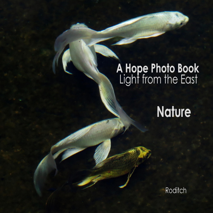 Kniha A Hope Photo Book Roditch .