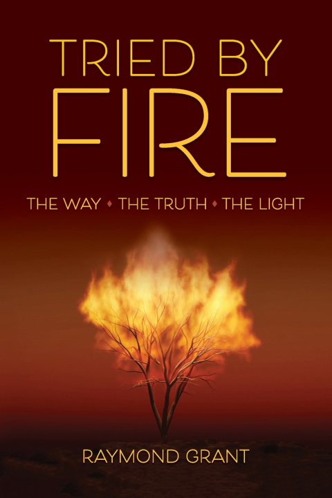 Book Tried by Fire Raymond Grant
