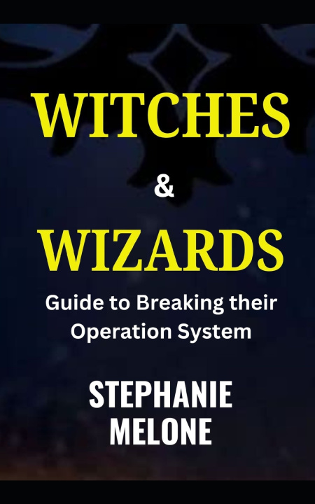 Kniha WITCHES & WIZARDS Stephanie Melone