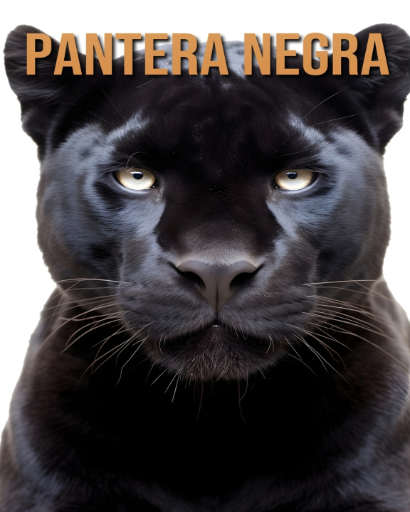 Kniha Pantera Negra Tristan Fairwood