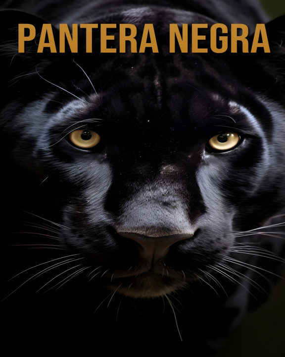 Kniha Pantera Negra Dorian Skye
