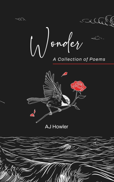 Kniha Wonder AJ Howler