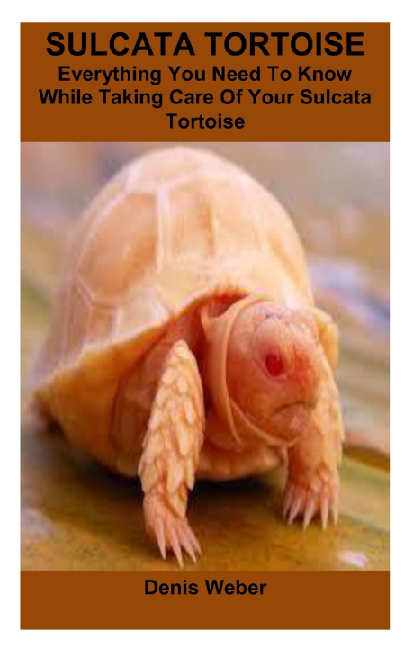 Kniha SULCATA TORTOISE Denis Weber