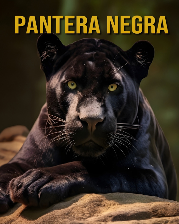 Kniha Pantera Negra Celeste Raven