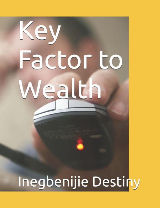 Kniha Key Factor to Wealth Inegbenijie Destiny
