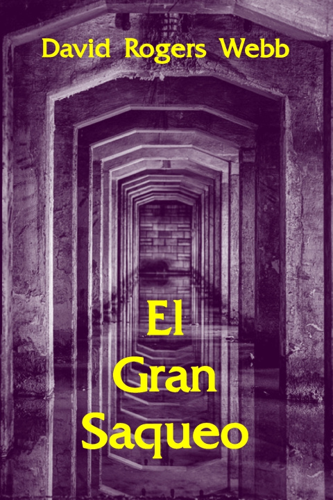 Book El Gran Saqueo David Rogers Webb