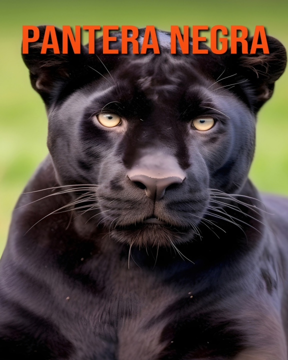 Knjiga Pantera Negra Alessandro Volkmann