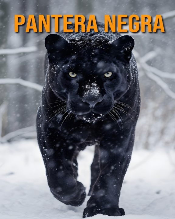 Kniha Pantera Negra Matteo Espinosa