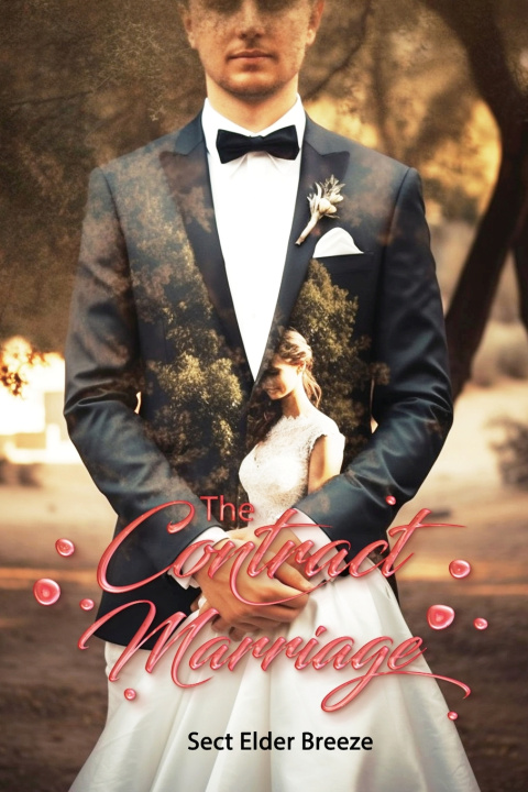 Knjiga The Contract Marriage Sect Elder Breeze