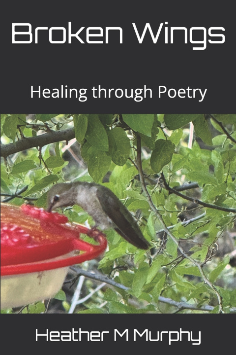Knjiga Broken Wings Heather M M Murphy