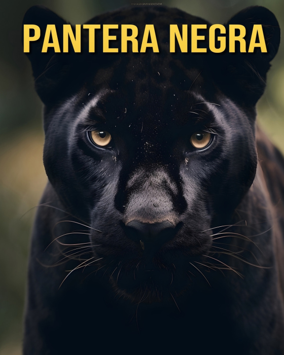 Knjiga Pantera Negra Debbie Ziegler