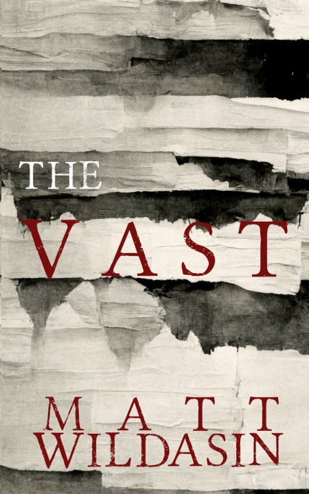 Buch The Vast Matt Wildasin