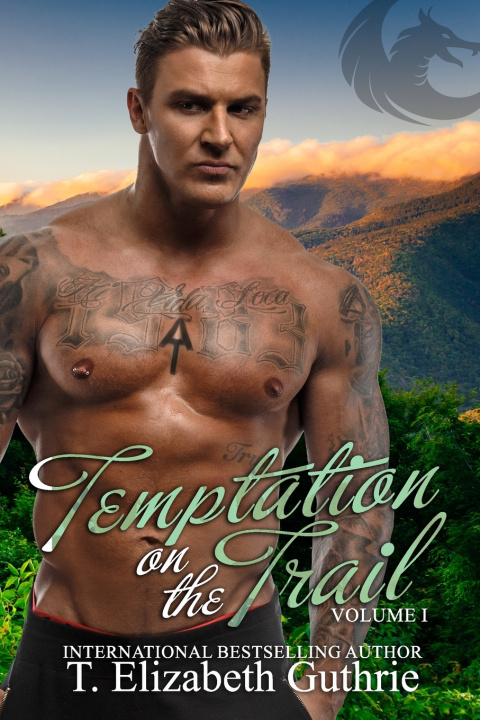 Kniha Temptation on the Trail T. Elizabeth Guthrie