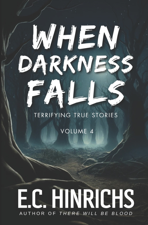 Kniha When Darkness Falls E.C. Hinrichs