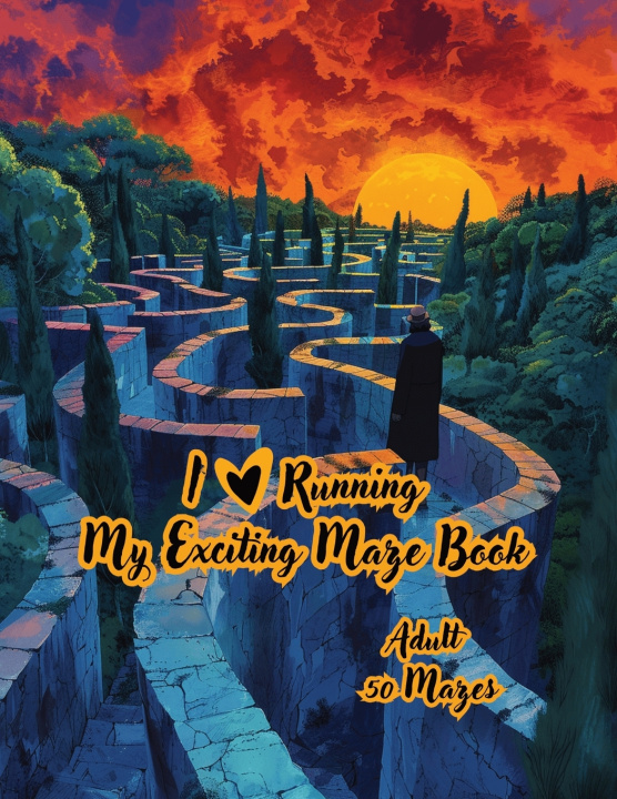Knjiga Maze Puzzles for Adults, Seniors & Teens REYHAN BALCI